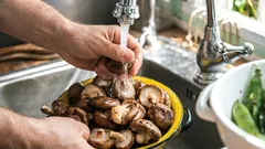 Pilze richtig waschen: Wie das Textur und Bratzeit beeinflusst