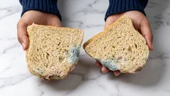 Kann man ein Lebensmittel noch essen, wenn man den Schimmel einfach wegschneidet?